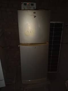 **"PEL Golden Fridge (Used) – Excellent Condition"**