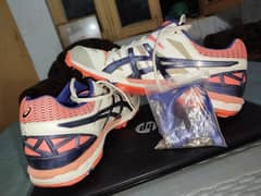 Asics GEL-ODI P501Y for sale