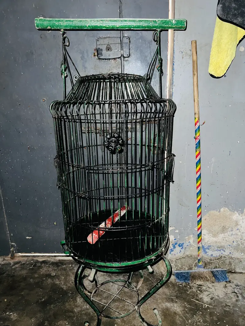 Cages for gray parrots — photo 3
