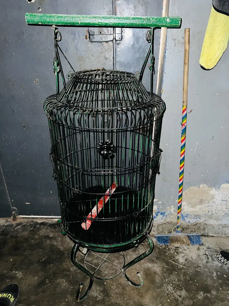 Cages for gray parrots — photo 4