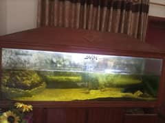 Aquarium