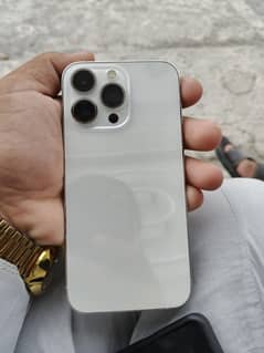 13pro