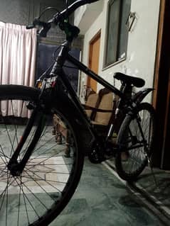 Giant Cycle