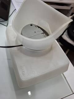 face steamer
