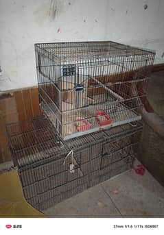 Hens cages