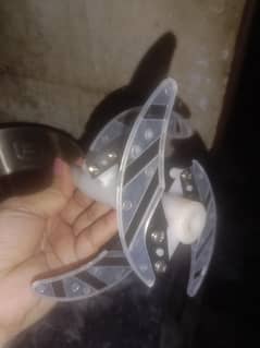 Meet and vegitabl chooper for all item