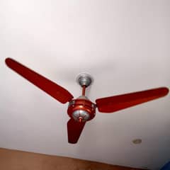 Ceiling Fans