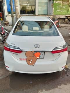 2020 gli automatic b2b original