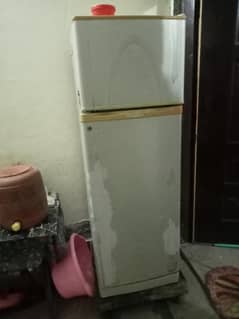 Medium Refrigerator  for sale