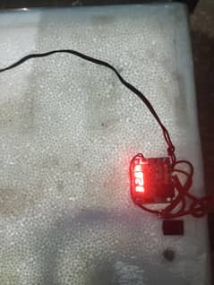 incubator