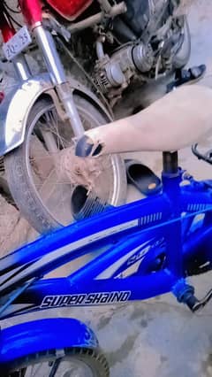 cycle for sale 03314085222