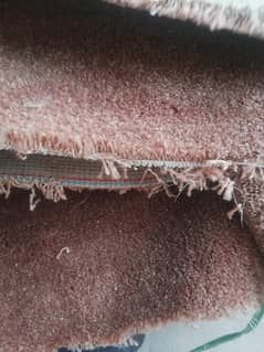 10/12 carpet