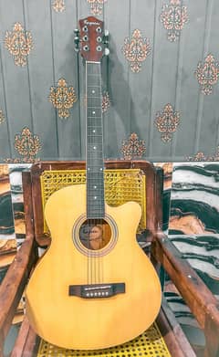Guitar