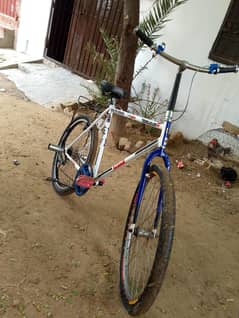 Phoenix Cycle