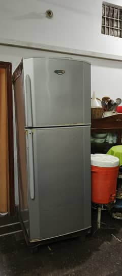 Genuine Haier jumbo size Refrigerator for sale
