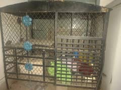 Bird cage