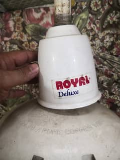 Royal fans