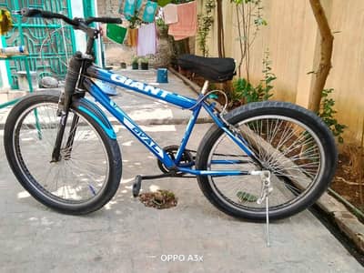 Gaint bike for sale