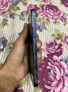 urgent sale seriouse byer rabta kry