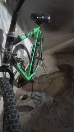 Cycle