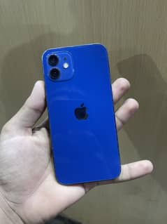 Iphone 12 non pta 64
