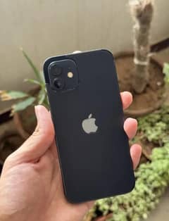 iphone 12 JV (Non pta)