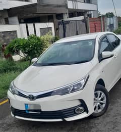 xli automatic 2019