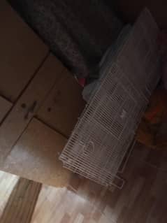 Aliyan