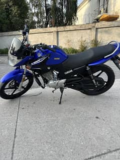 Yamaha