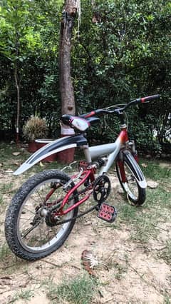 Bicycle 12" size