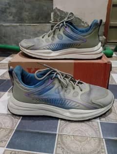 Men shoes