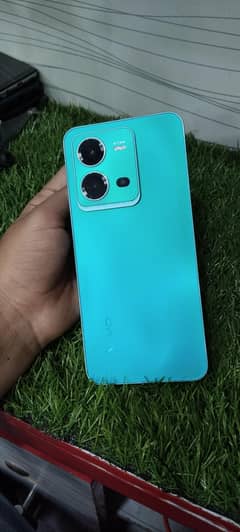 vivo