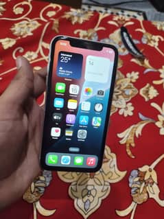 Iphone XR waterpack
