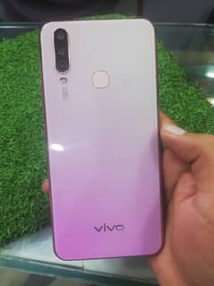 VIVO