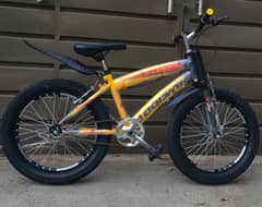 New Goodwin cycle