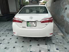 gli 2016 sai jeniun car