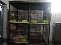 cage + engle double porshion 4+4=8