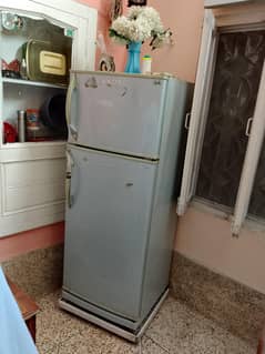 singer fridge