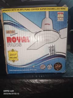 Royal Ceiling Fan