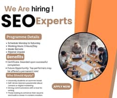 SEO Expert Required – Remote | Part-Time (3 Hours/Day)
