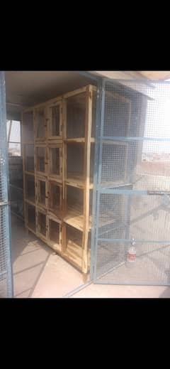 Cage  For  Sale  Strong   خوبصورت اور مضبوط پنجرے  برائے فروخت