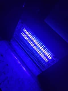Mosquito killer
