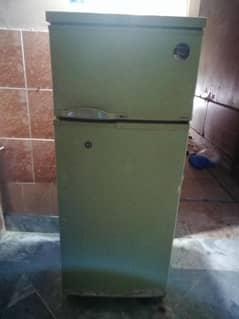 Philips whirlpool medium size color green