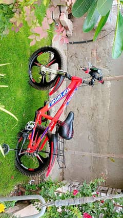 The cycle is in very good condition and Only a few months used