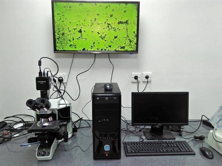 Microscope and Digital Cameras LCD Attachment 3
