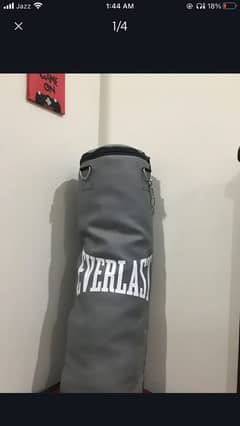 Punching bag everlast