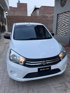 Cultus vxr 2017