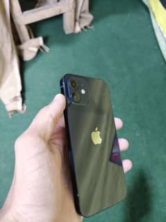 IPHONE 12 JV
