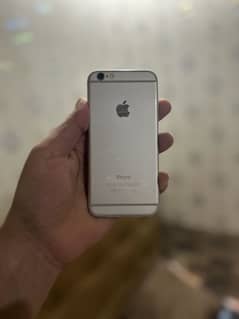 iPhone 6