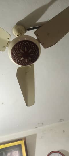 Ceiling fan for sal What's up number 03244381708